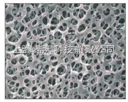 ADVANTEC纤维素膜 希和优质滤膜