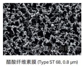 OE 66醋酸纤维素膜10404131  0.2um 142mm 微孔滤膜